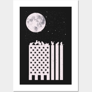 Moonlight in America Posters and Art